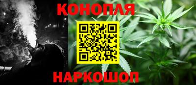 прущие грибы Нягань
