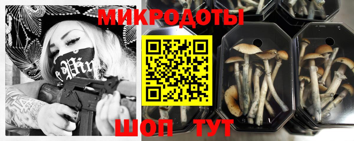 Псилоцибиновые грибы Psilocybine cubensis  Псилоцибиновые грибы GOLDEN TEACHER  Вход с VPN  купить закладку  Урус-Мартан 
